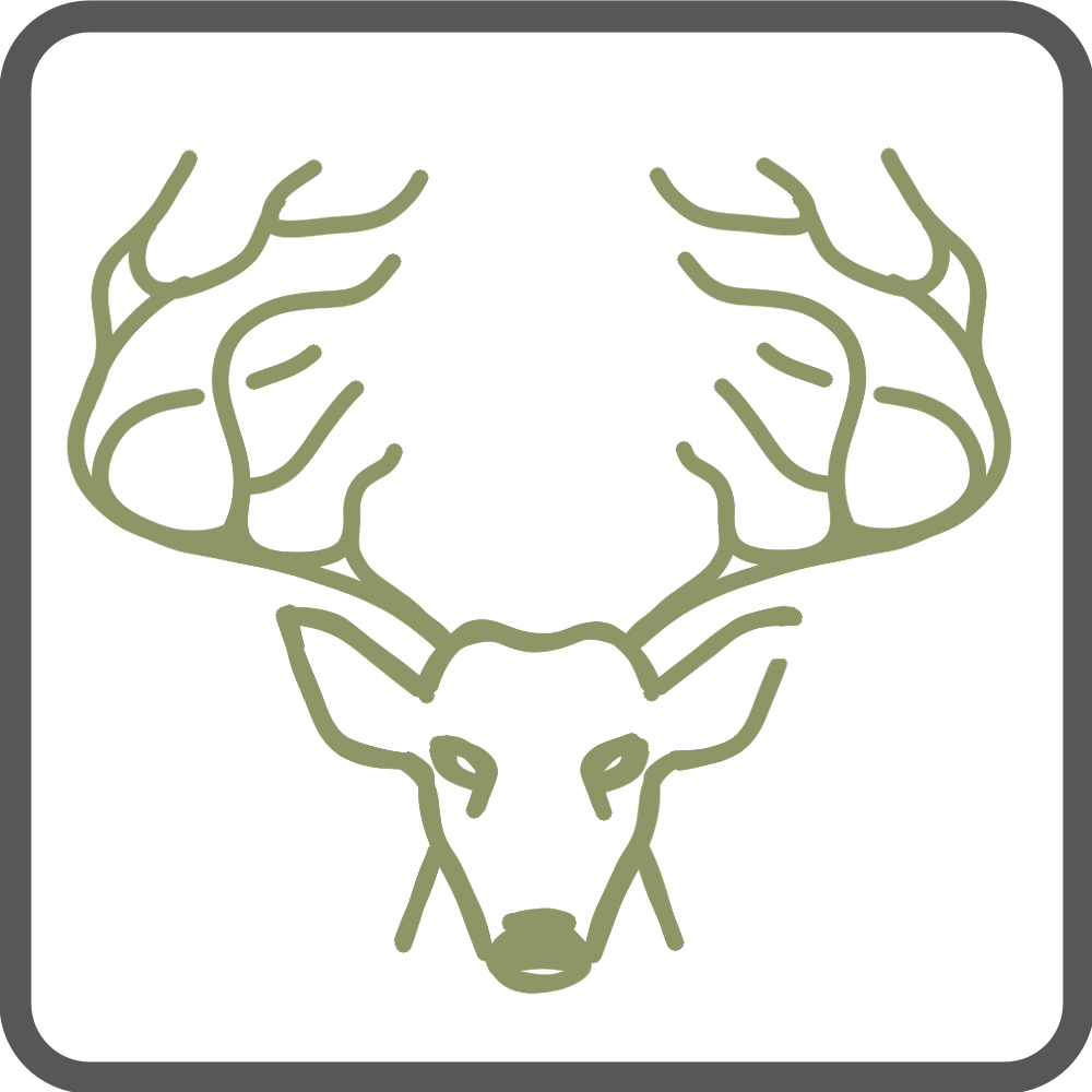 Hirsch Hirsch