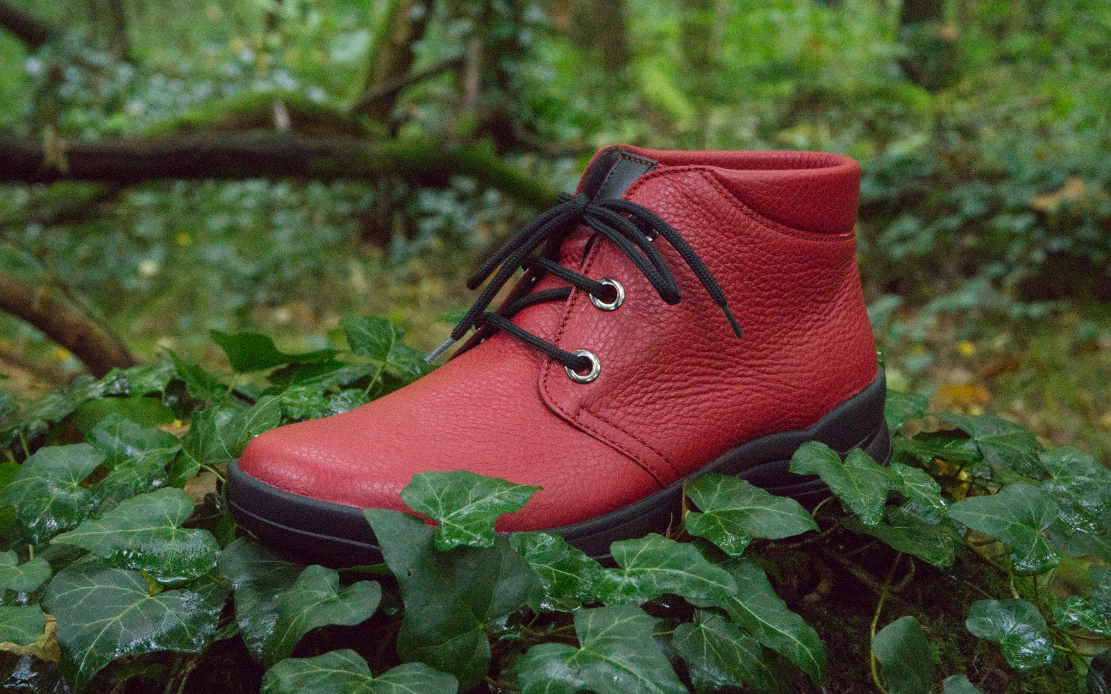 Der Schuh #0001 - Spinnenfuß und Krötenbein steht auf einem neutralen Hintergrund, präsentiert seine einzigartige Form und hochwertigen Materialien.
