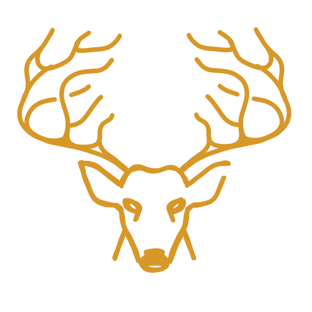 Hirsch Hirsch