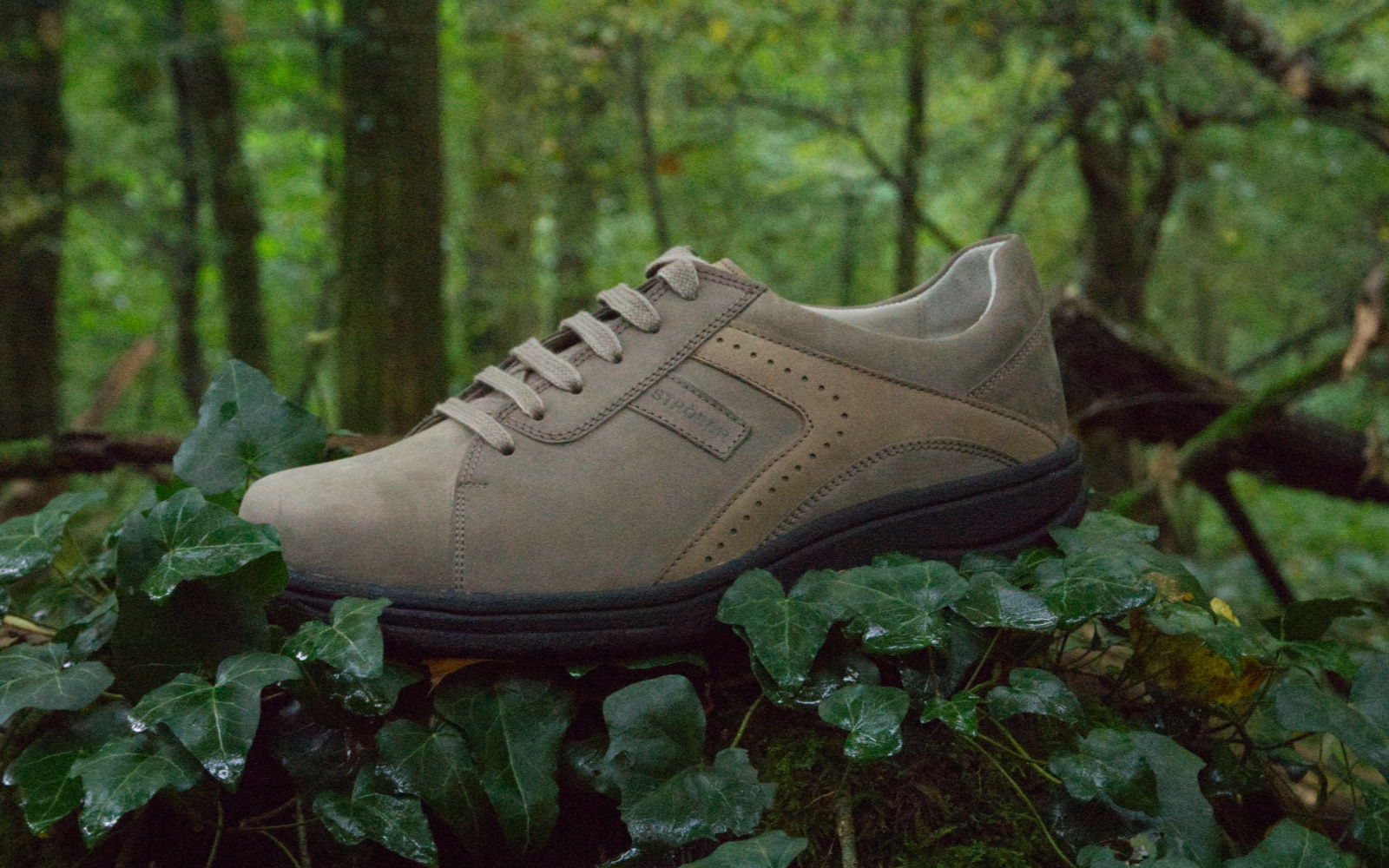 Ein Herren-Schuh Modell #0001 - Spinnenfuß und Krötenbein, elegant auf einem Holzuntergrund präsentiert, bereit fürs Tragen.